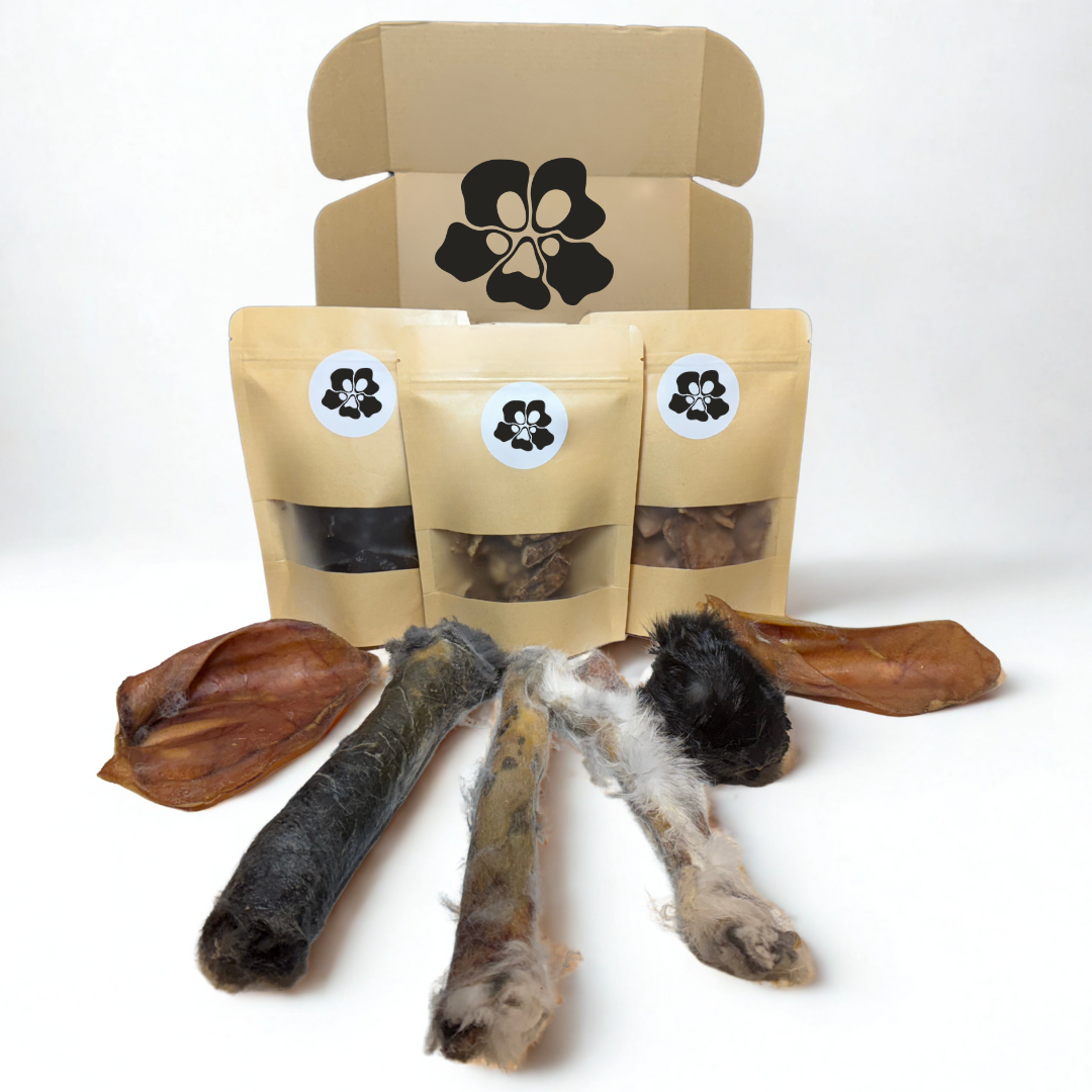 Treatos box "Dog box" treats and chew products with packaging on a white background