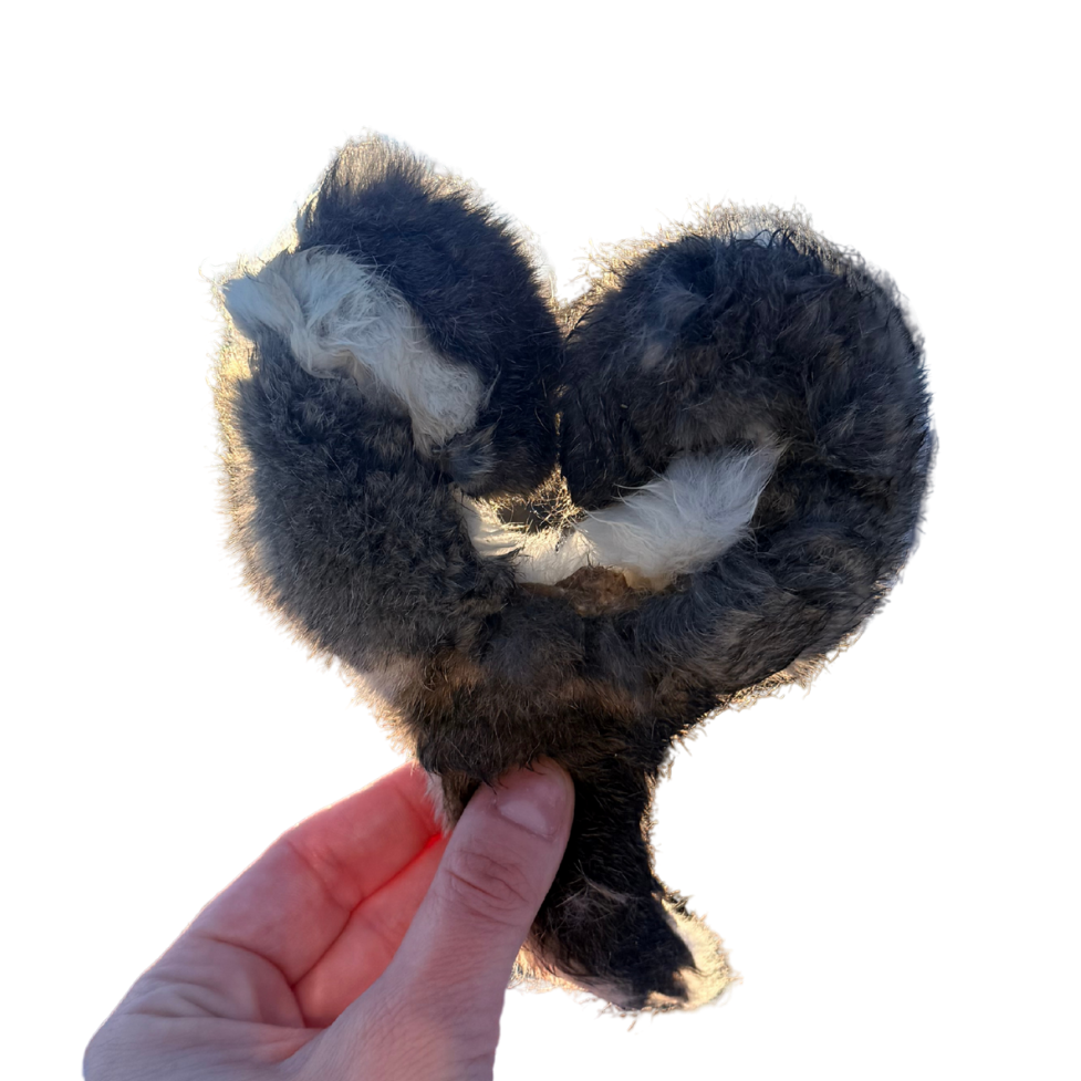 Heart-shaped object made of fur held by a hand on a white background