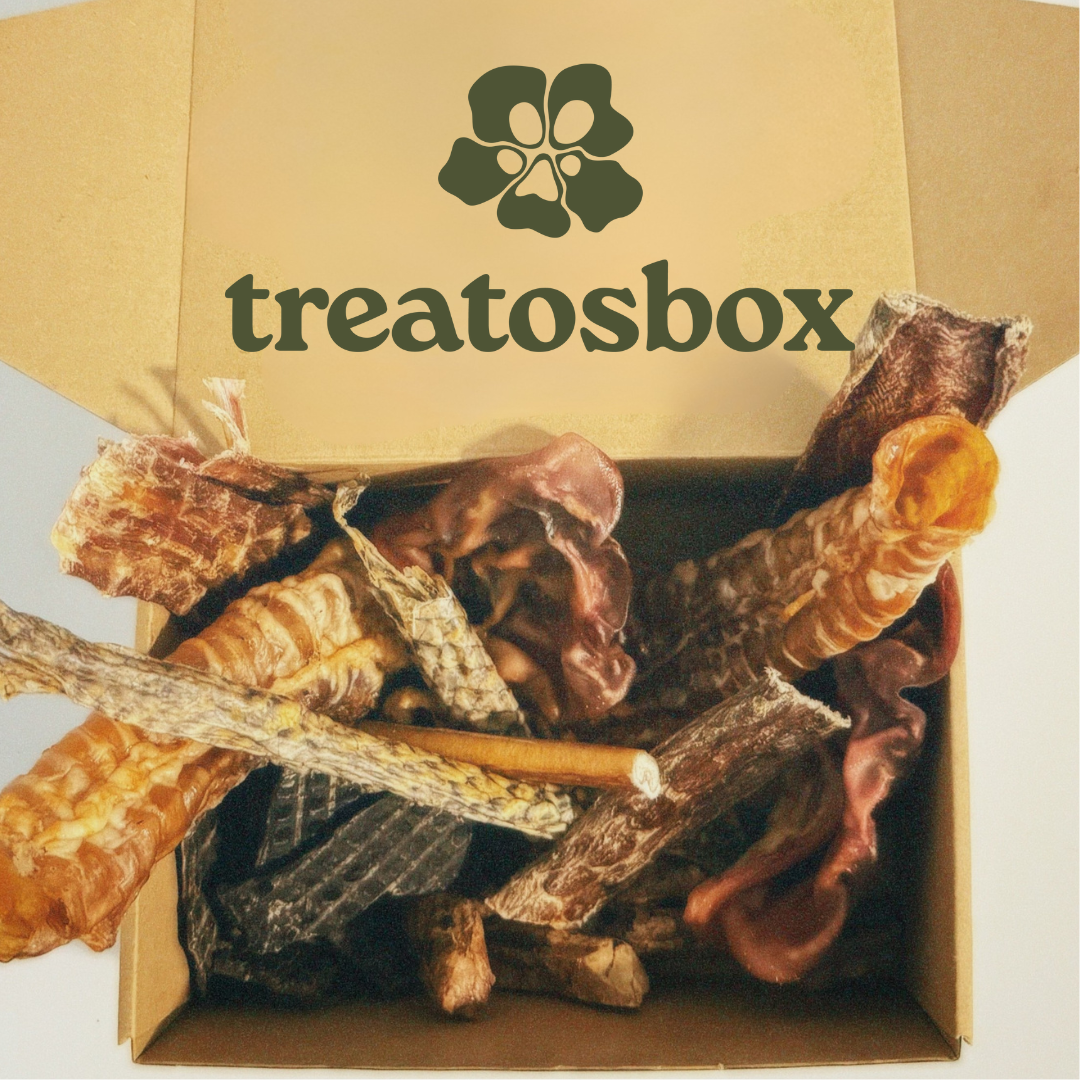 Box of pet treats with treatos box branding