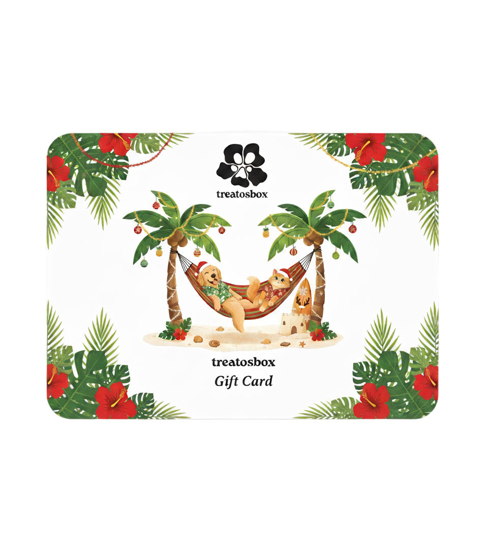 Treatsbox gift card with tropical design featuring palm trees and a hammock.