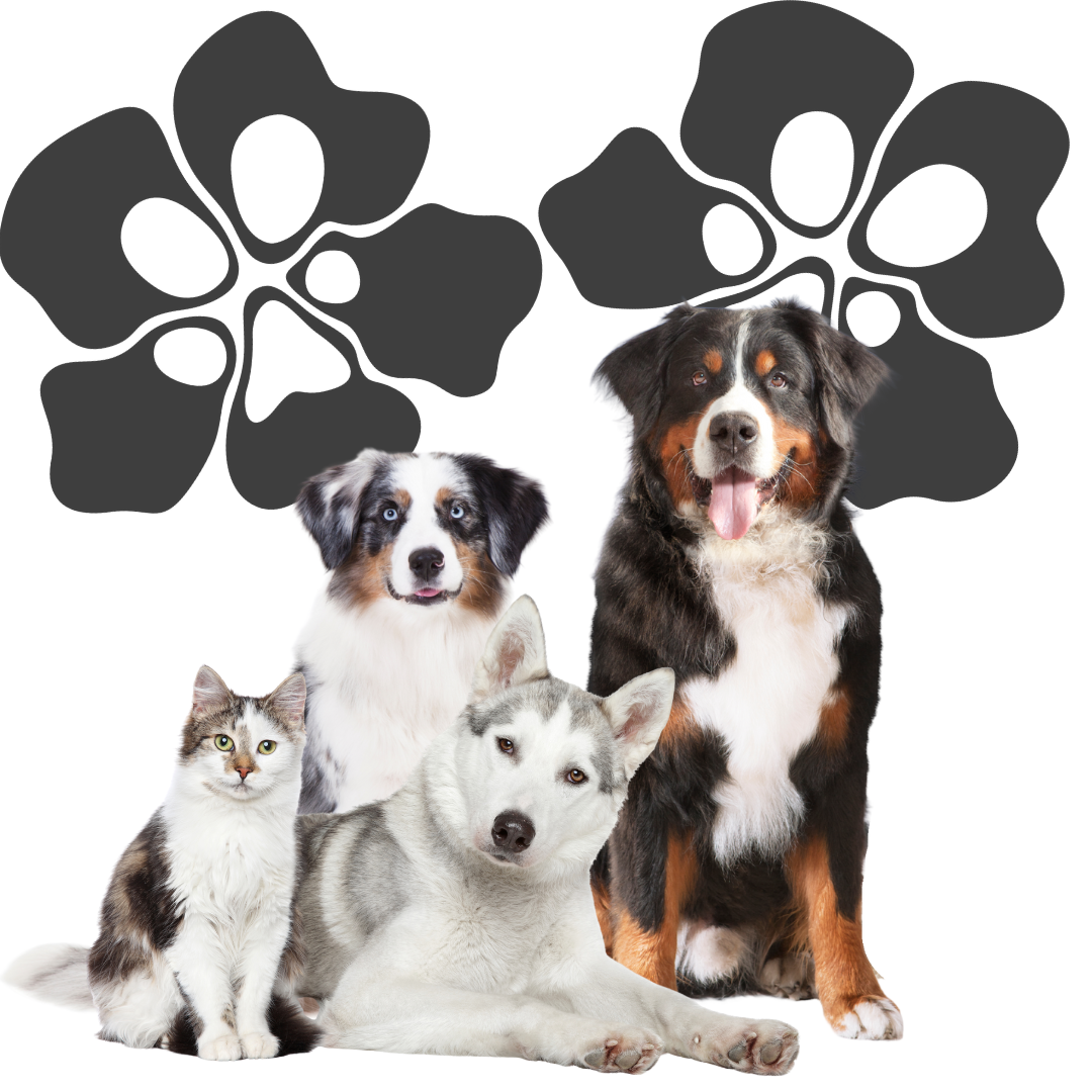 Untitled (Instagram Post) (1080 x 1080 px).png