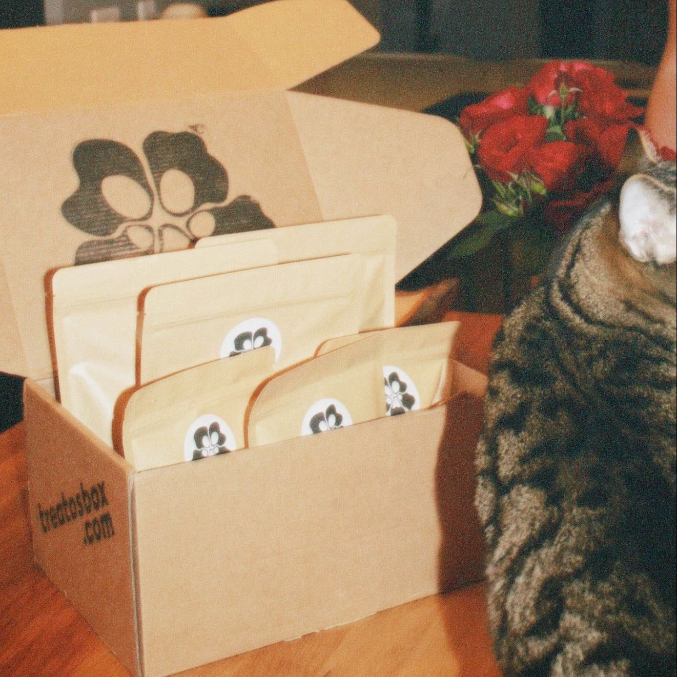 Open cardboard treatos box with items inside on a wooden table, blurred background