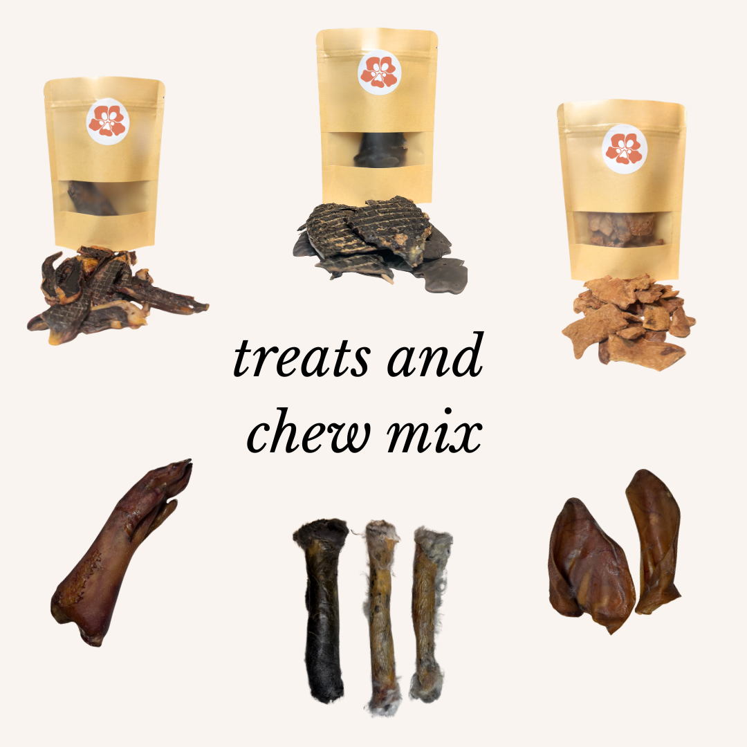 Treatos box assorted dog treats and chew mix displayed with packaging on a white background.