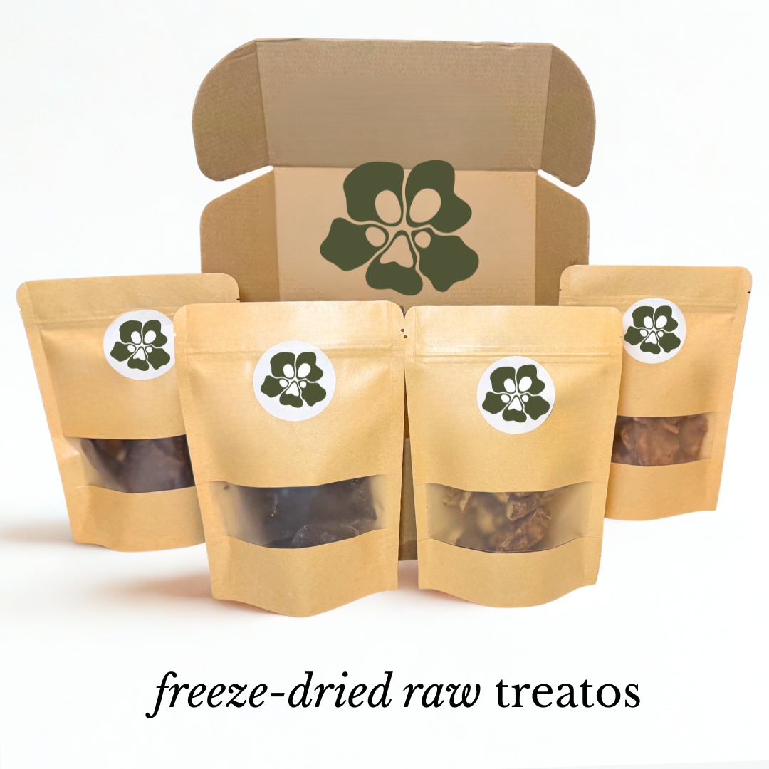 Treatos box - the cat box contents. Four brown treatos bags with clear windows and a cardboard box in the background, labeled 'freeze-dried raw treatos'.