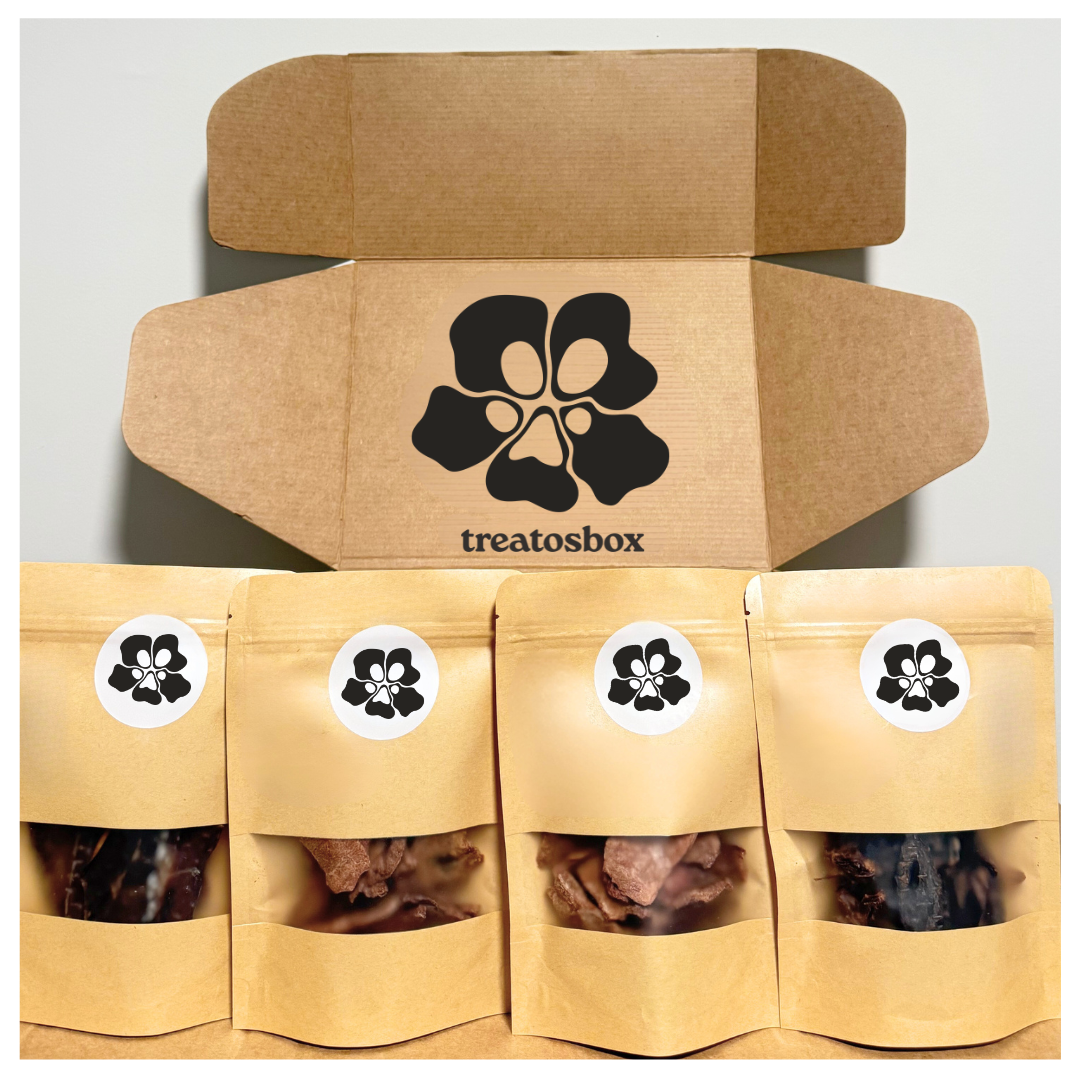 Treatos Box packaging with four visible treat bags on a white background