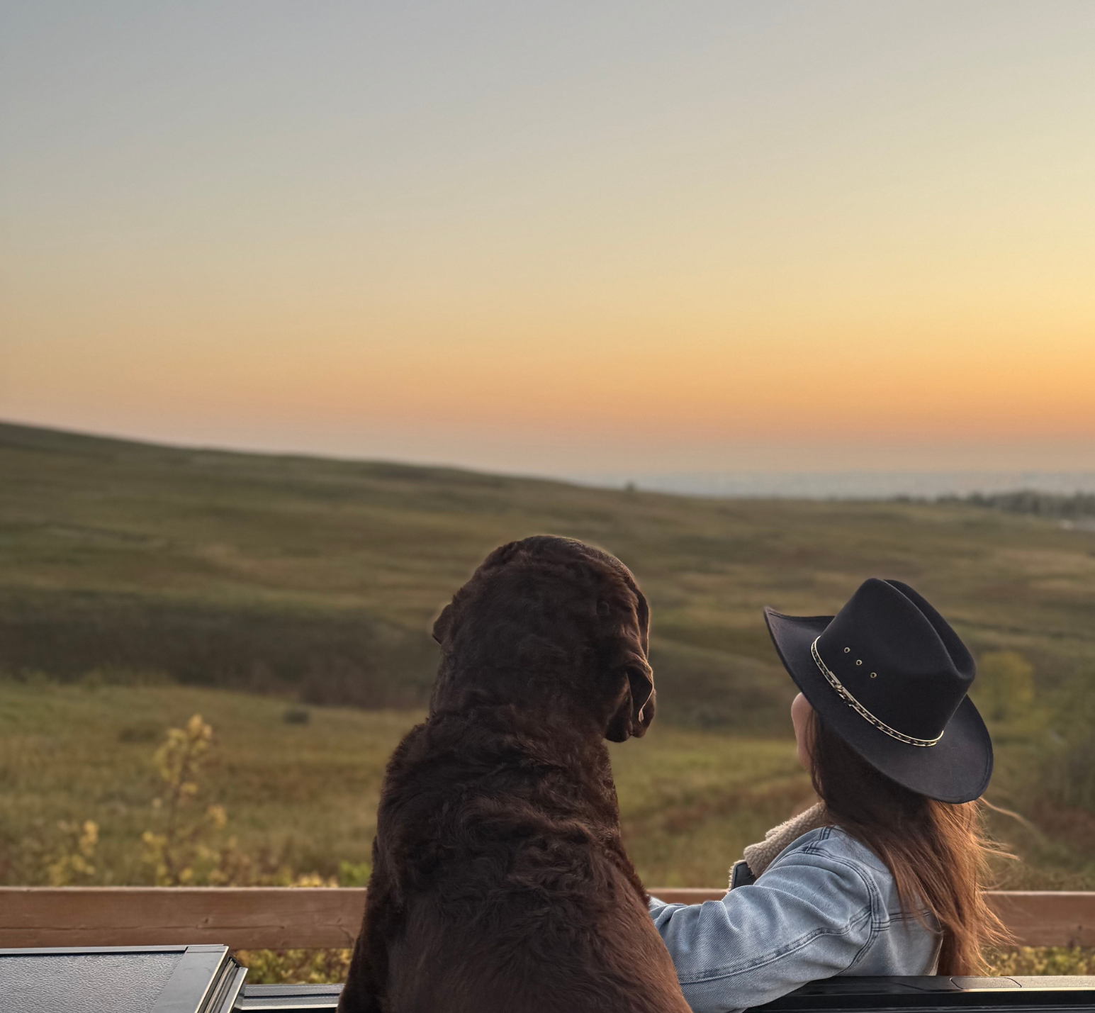 Person and dog sitting on a railing overlooking a field at sunset
