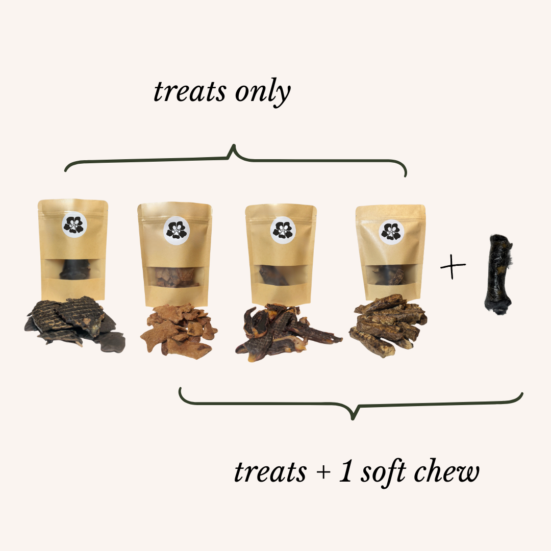 Treatos Box "the bitesize box" contents. Dog treatos packaging with different quantities of treats and a soft chew on a white background.