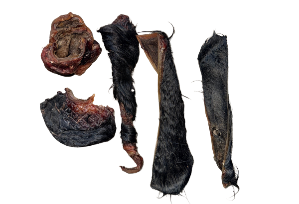 Dried cow ear pieces on a white background treatosbox