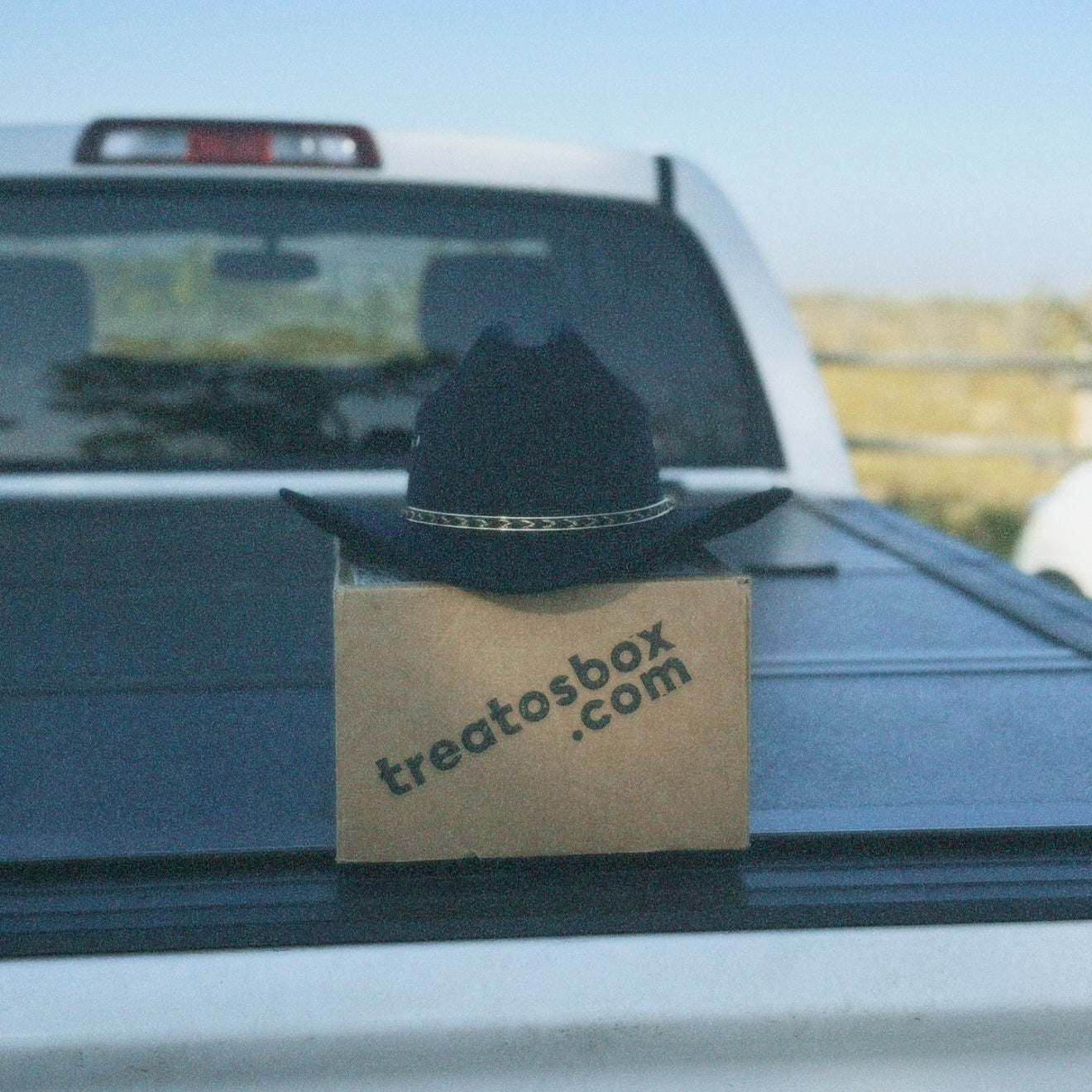 Black cowboy hat on a cardboard box with 'treatosbox.com' on a car's open trunk.