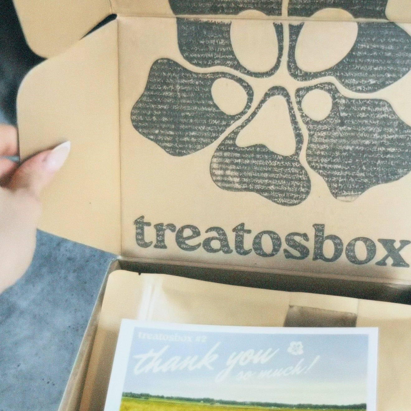 Open cardboard box with 'Happy Mail' and 'treatosbox' branding, featuring a postcard with cows on grass.
