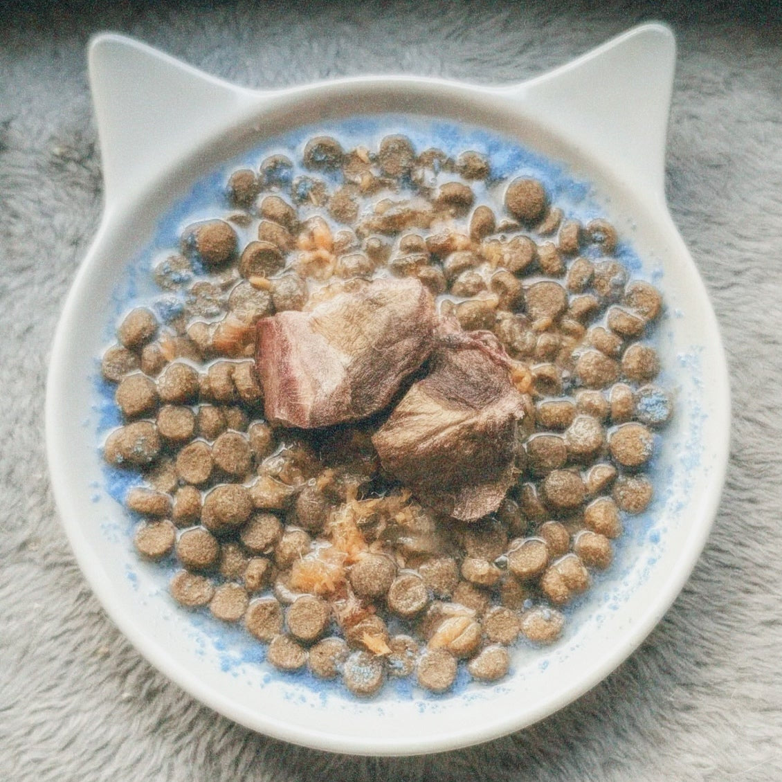 Cat food in a bowl on a textured surface